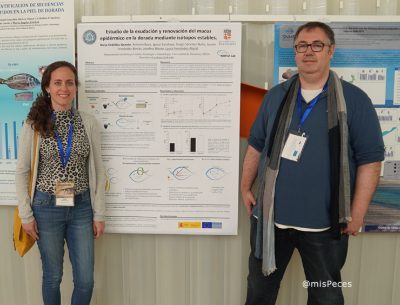 El mucus de los peces tiene un poder antibacteriano que se puede modular con la alimentación