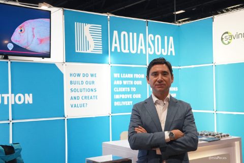 antonio-isidoro-ceo-soja-portugal-ae19ber-760