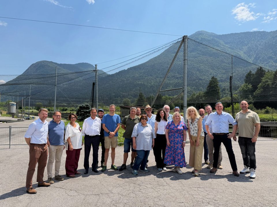 API gruppo stordimento insieme