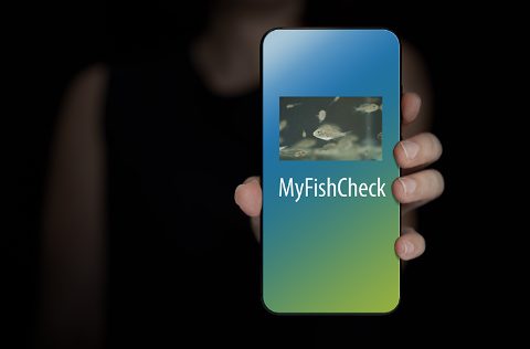 Aplicación Móvil MyFishCheck
