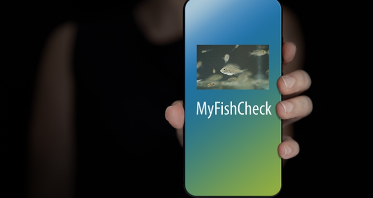 Aplicación Móvil MyFishCheck Aplicación Móvil MyFishCheck