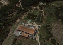 Publican datos interesantes sobre la dinámica del microbioma de una granja comercial de lenguados