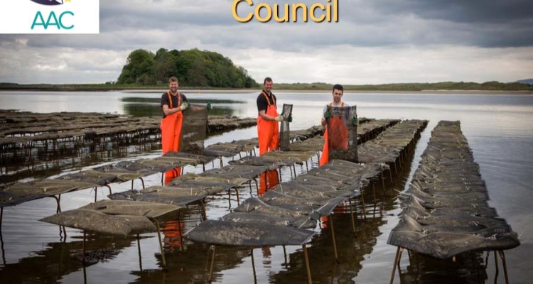 aquaculture-advisory-council