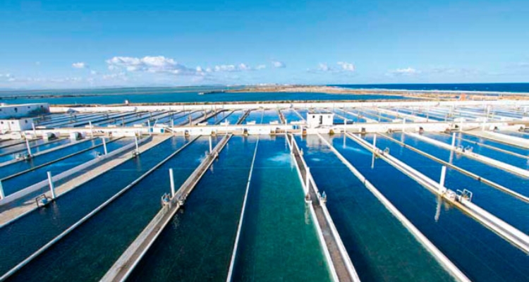 aquaculture-tunesienne