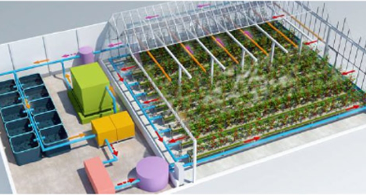 aquaponia-proyecto-inapro