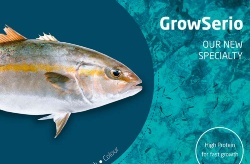 Aquasoja lanza GrowSerio una solución de alimentos para Seriola dumerili