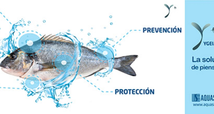 aquasoja-banner-ygeiaplus