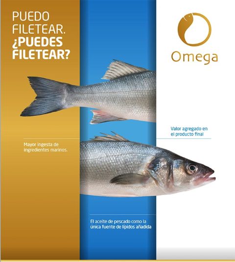 Aquasoja caratula Omega