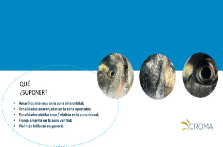 AQUASOJA CROMA, verano 2021