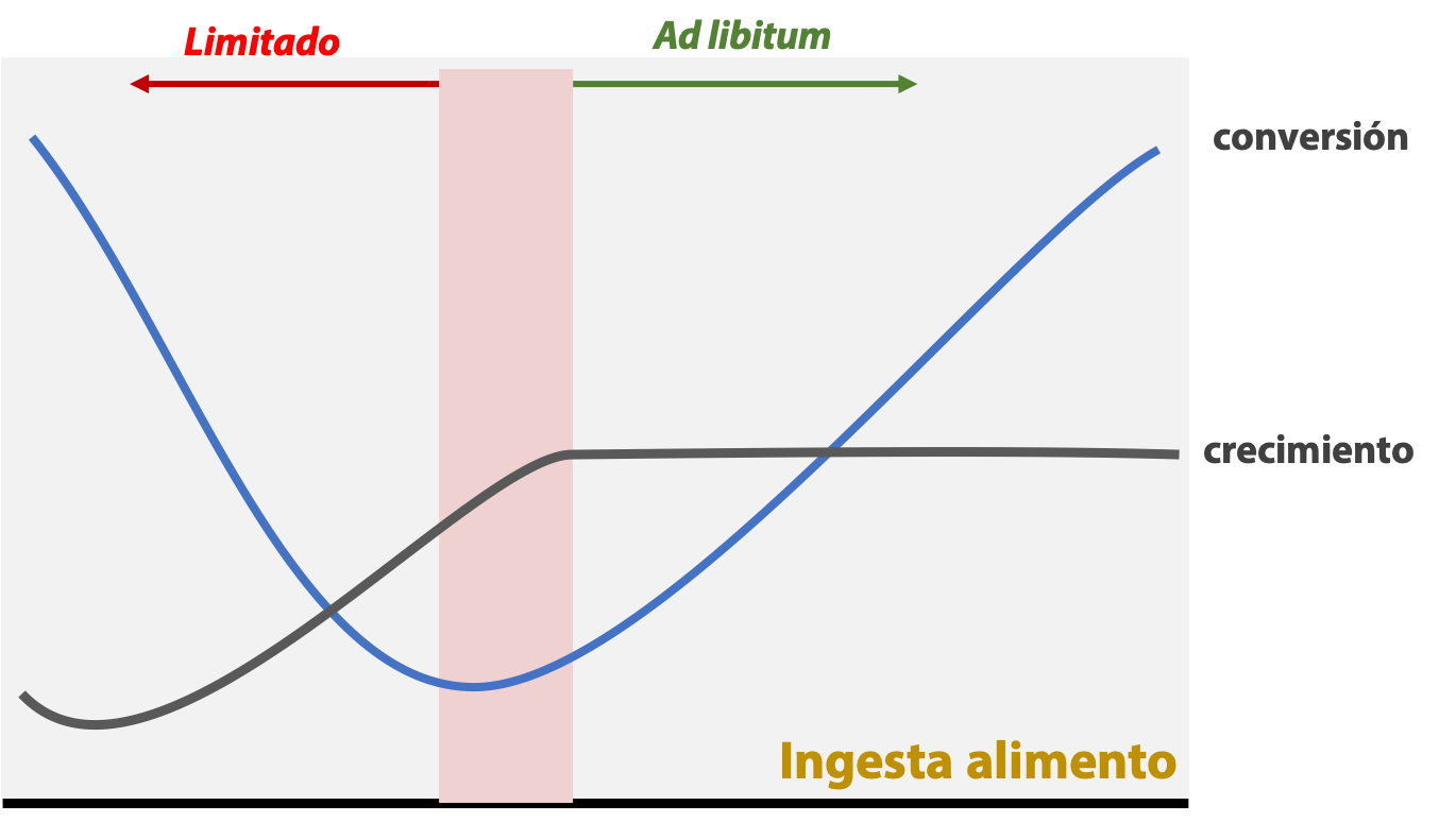 Gráfica, relación ingesta con estrategia de alimentación limitada vs ad libitum