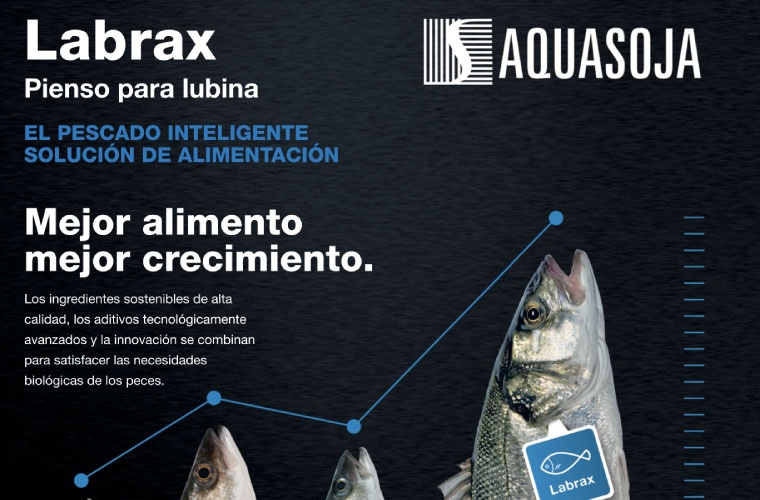 AQUASOJA, alimento para lubina europea de AQUASOJA AQUASOJA, alimento para lubina europea de AQUASOJA