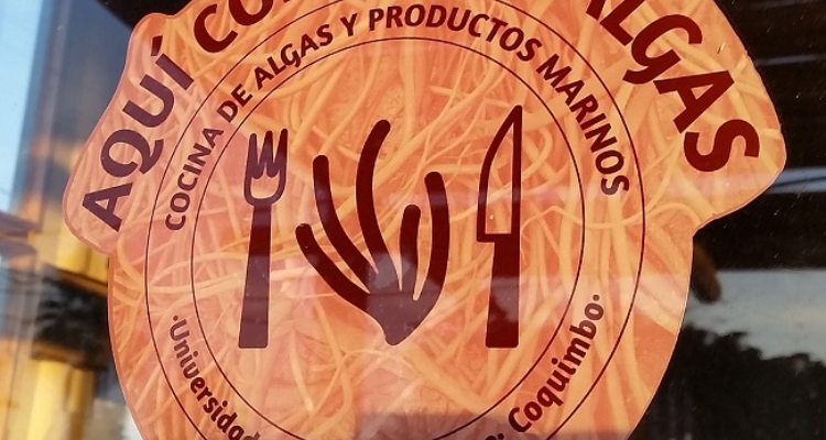 aqui-comemos-algas