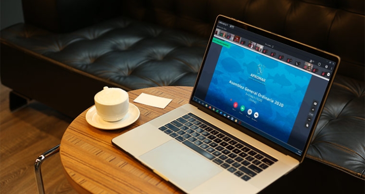 APROMAR - pantalla reunión virtual de la Asamblea General de 2020