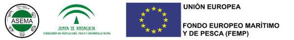asema-junta-andalucia-ue-femp