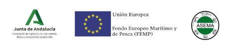 ASEMA. Pie logos