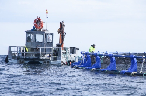 AVRAMAR, visita granja El Campello. |F: Som Campello