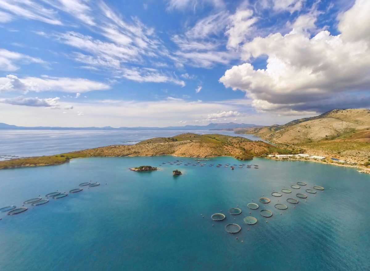 AVRAMAR Greece - Cooke
