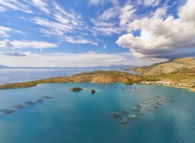 AVRAMAR Grecia desaparece como identidad corporativa y da paso a Cooke Hellas