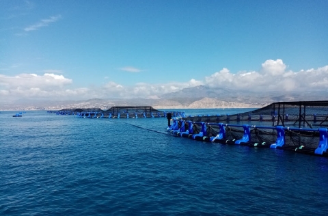 AVRAMAR, granja acuícola de El Campello, Alicante