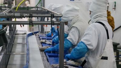 Participantes en Aquaculture Europe visitan la planta de envasado de AVRAMAR en Burriana