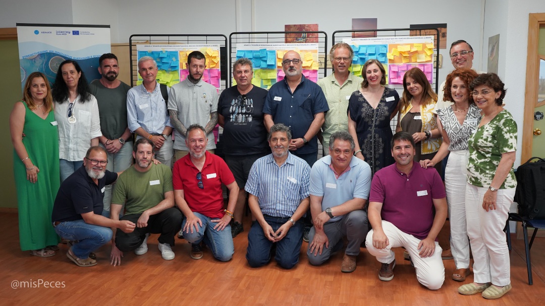 Expertos participantes AZA4ICE