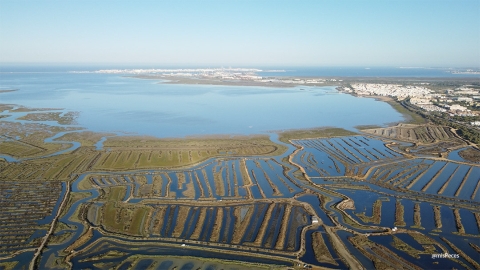 Panorámica de la Bahía de Cádiz