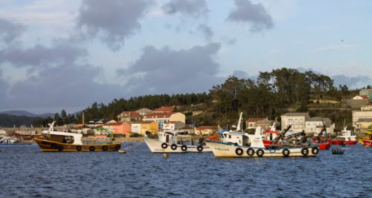 barcos-auxiliares-mexillon