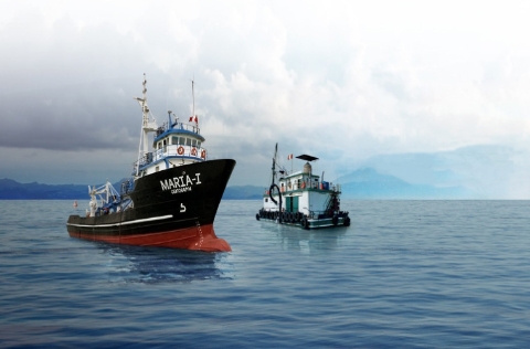 Barcos de pesca de anchoveta