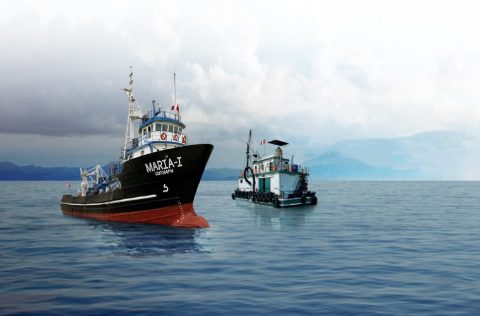 Barcos de pesca de anchoveta