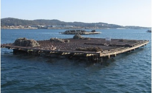 Batea de Mejill&oacute;n de Galicia