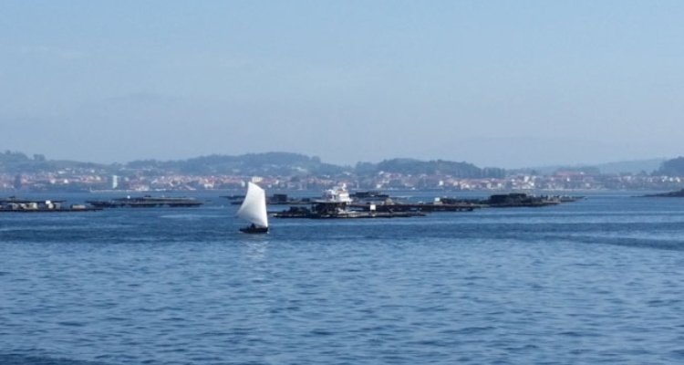 bateas-mejillones-galicia
