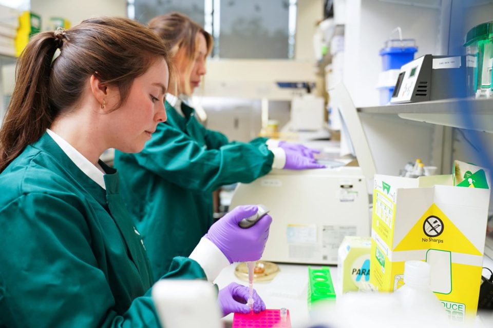 Laboratorio de genotipado | Benchmark Genetics