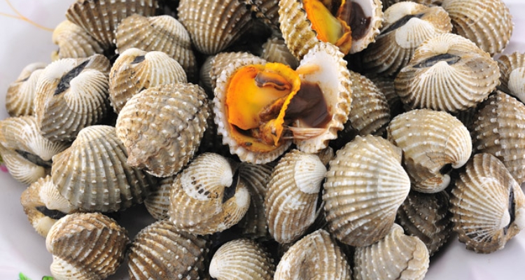 berberechos