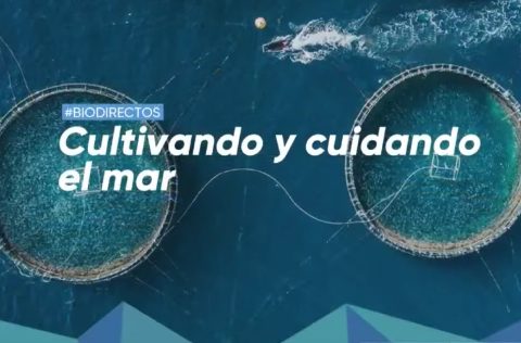Carátula ciclo conferencias Biodirecto Cultivando y Cuidando el Mar