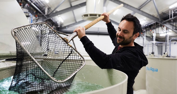 biomar-aquaculture-technoligical-center-hirtshals-760