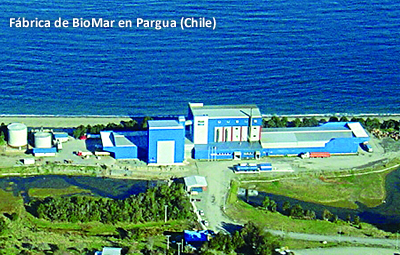 biomar-planta-pargua-chile biomar-planta-pargua-chile