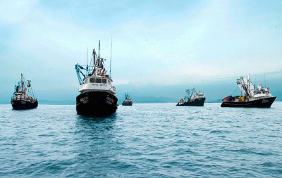 Il prolungamento del fermo pesca in Perù aumenta la pressione sull’offerta mondiale di farina e olio di pesce