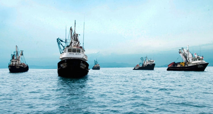 buques-pesca-anchoveta-austral-group