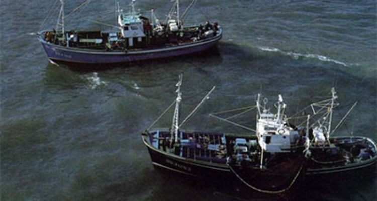 Buques de Pesca / MAGRAMA