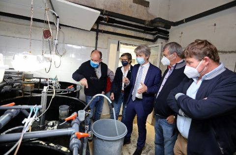 Santiago Cabaleiro durante visita predientes federación de Cofradías de Pescadores de Galicia en el Clúster de Acuicultura