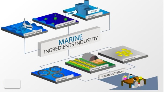 cadena-valor-industria-ingredientes-marinos cadena-valor-industria-ingredientes-marinos