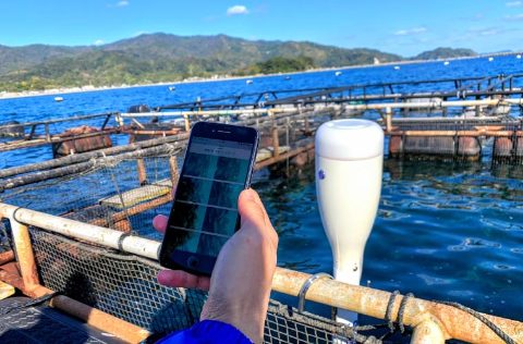 Cámara e Inteligencia Artificial para la medición de peces