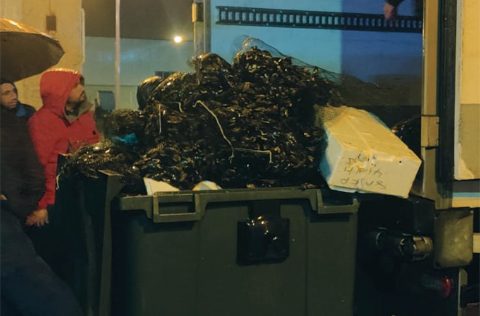 Camión mejillones, piquete