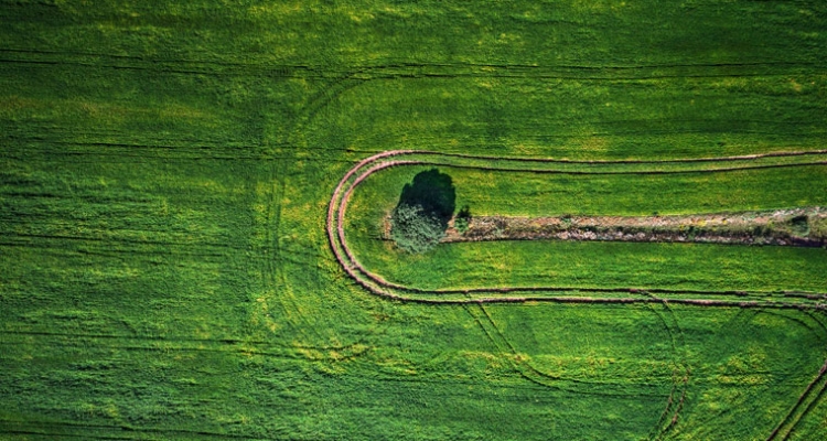 campo-cultivo-760