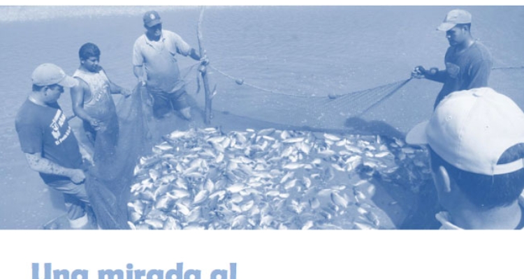 caratula-fao-extensionismo-acuicola-latam