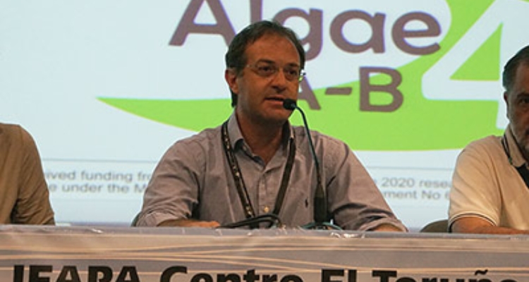 carlos-unamunzaga-fitoplancton-marino-algae4ab