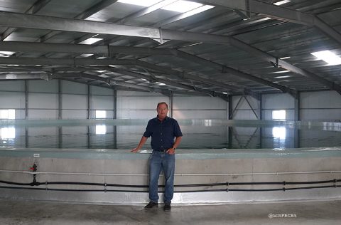 Carlos Lluna, máximo responsable de inversiones de Grupo Visión en Europa