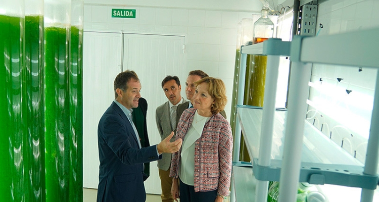 carmen-ortiz-visita-fitoplancton-marino-nov2015