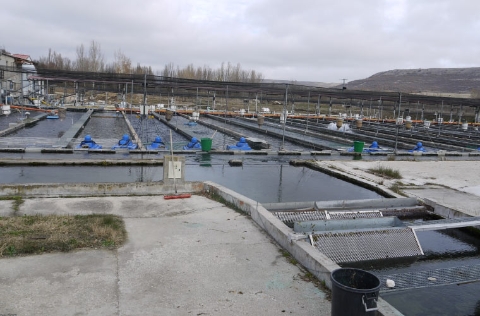 Piscifactoría en Castilla y León