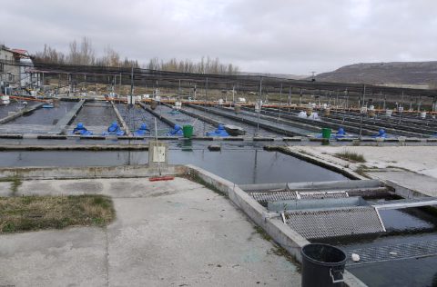 Piscifactoría en Castilla y León